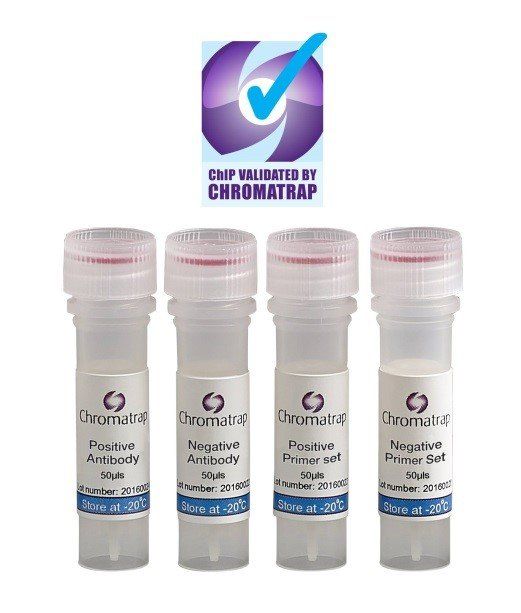 Antibodies+and+Primers+for+ChIP+assays-2880w